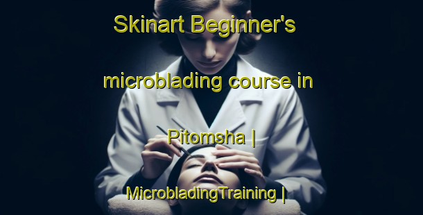 Skinart Beginner's microblading course in Pitomsha | MicrobladingTraining | MicrobladingClasses | SkinartTraining-Russian Federation
